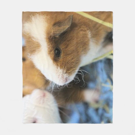 Piggy Fleece Deken (Voorkant)