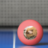Piggy Golf Pet Clip Pingpongbal (Net)