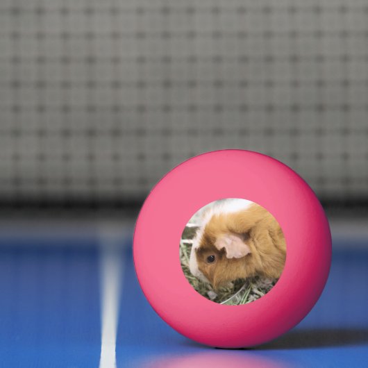 Piggy Golf Pet Clip Pingpongbal (Net)