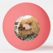 Piggy Golf Pet Clip Pingpongbal (Achterkant)
