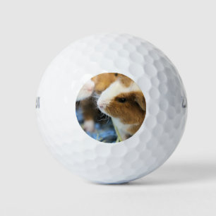 Piggy Golfballen