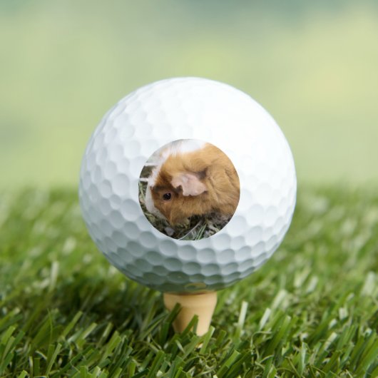 Piggy Golfballen (Insitu Shirt)