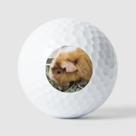 Piggy Golfballen
