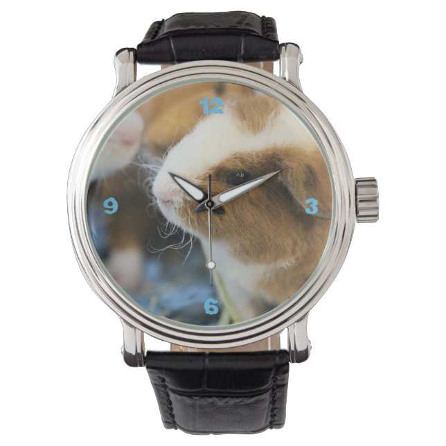 Piggy Horloge (Voorkant)