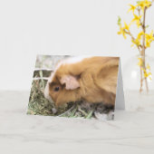 Piggy Kaart (Gele Bloem)