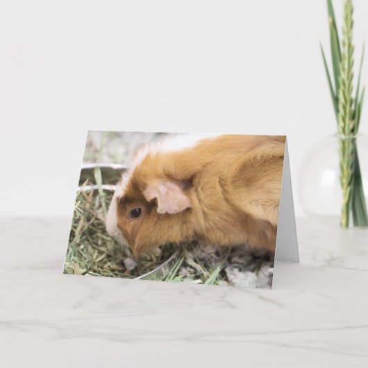 Piggy Kaart (Voorkant)