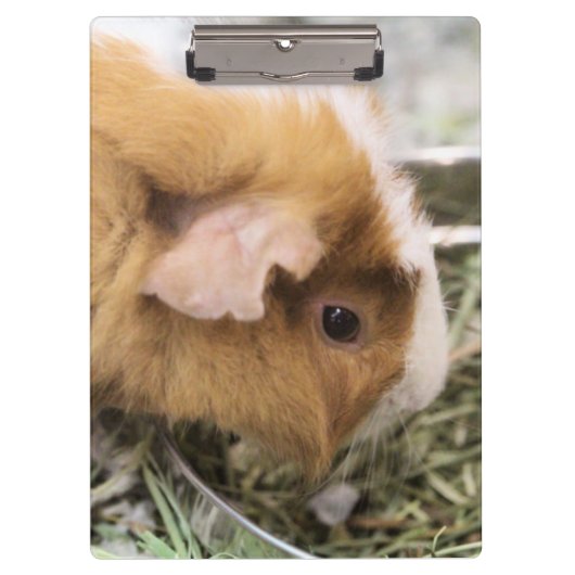 Piggy Klembord (Voorkant)