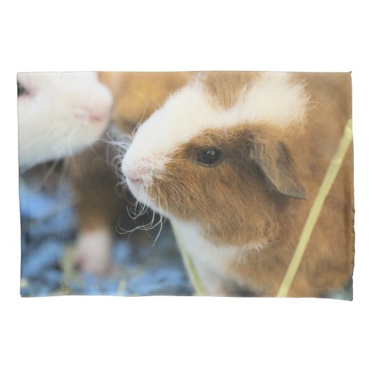 Piggy Kussensloop (Voorkant)