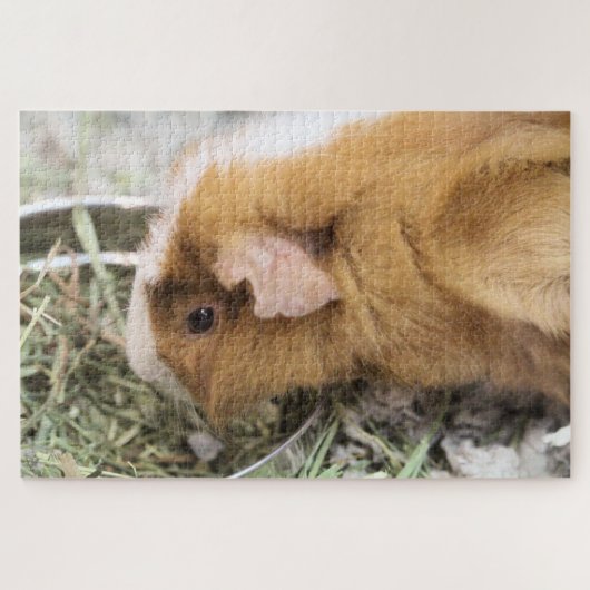 Piggy Legpuzzel (Horizontaal)