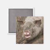 Piggy Magneet (Voorkant / Achterkant)