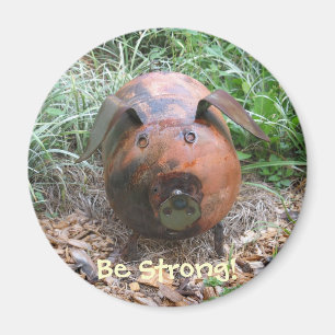 Piggy Magnet Diet Aid