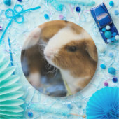 Piggy Papieren Bordje (Feest)