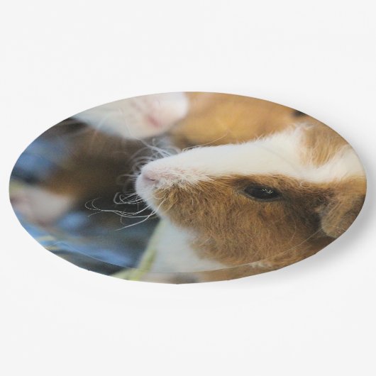 Piggy Papieren Bordje (Gekanteld)