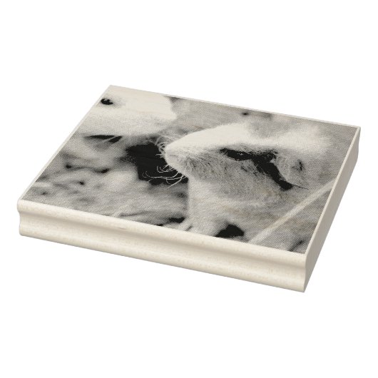 Piggy Rubberstempel (Stempel)