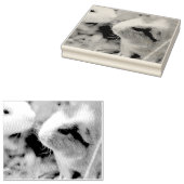 Piggy Rubberstempel (Gestempeld)