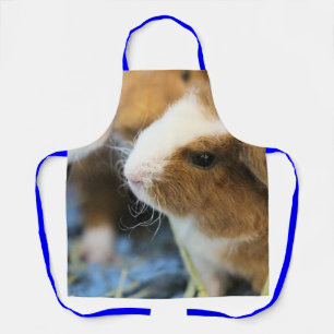 Piggy Schort