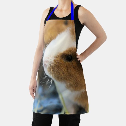 Piggy Schort (Insitu)