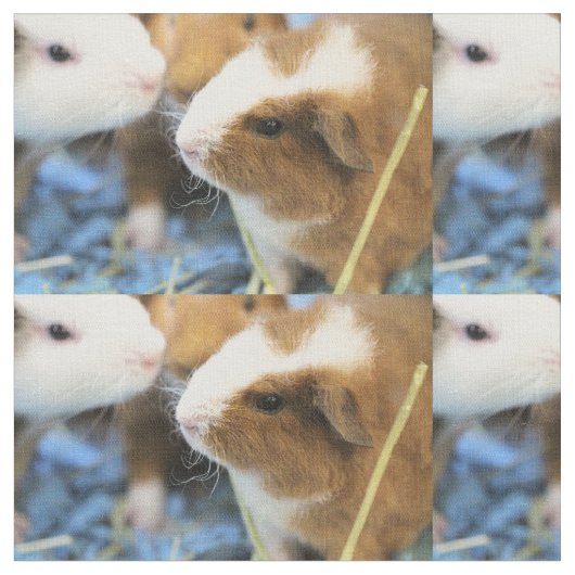 Piggy Stof (Close Up)