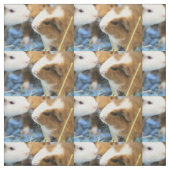 Piggy Stof (Swatch)