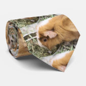 Piggy Stropdas (Opgerold)