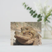 Piggyback Toads Briefkaart (Staand voorkant)