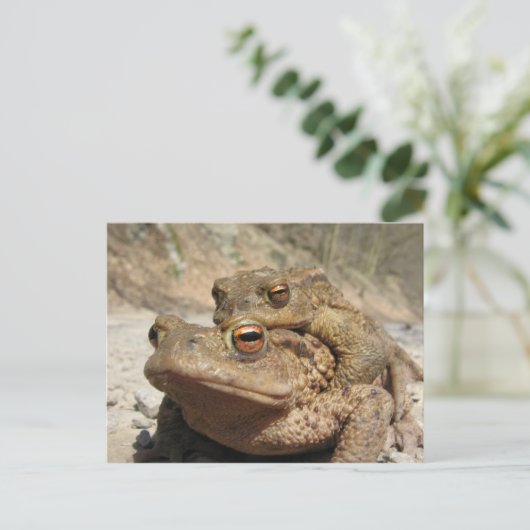 Piggyback Toads Briefkaart (Staand voorkant)