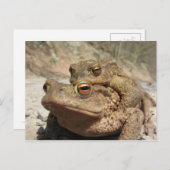 Piggyback Toads Briefkaart (Voorkant / Achterkant)