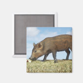 Piglet Eten Magneet (Voorkant / Achterkant)