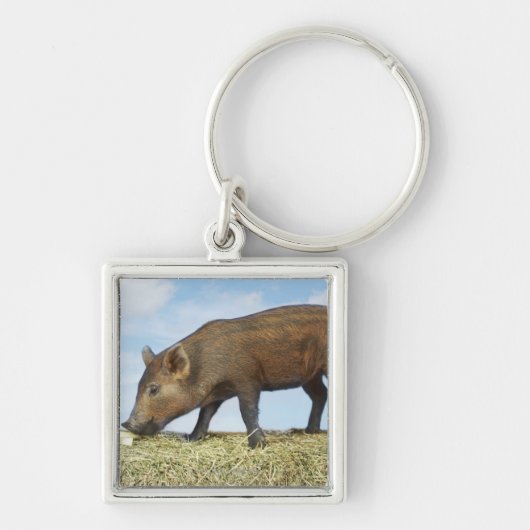 Piglet Eten Sleutelhanger (Voorkant)