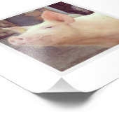 Piglet-fotografie Foto Afdruk (Hoek)