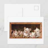 Piglet Illustration Briefkaart (Voorkant / Achterkant)