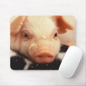 Piglet Pig Schattig Face Snout Muismat (Met muis)