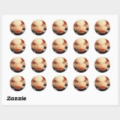 Piglet Pig Schattig Face Snout Ronde Sticker (Vel)
