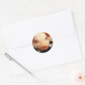 Piglet Pig Schattig Face Snout Ronde Sticker (Envelop)