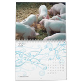 Piglets Agenda Kalender (Mar 2027)