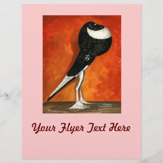 Pigmy Pouter Duif Zwart Piebald Flyer (Voorkant)