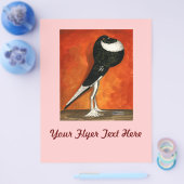 Pigmy Pouter Duif Zwart Piebald Flyer (Enkel)