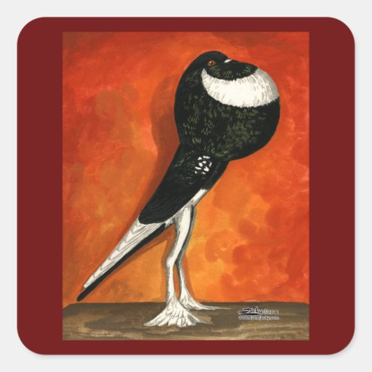 Pigmy Pouter Pigeon Black Pied Vierkante Sticker (Voorkant)