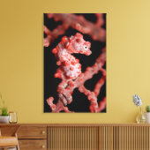 Pigmy Seahorse in Zee Fan Canvas Afdruk (Insitu (Woonkamer))
