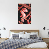 Pigmy Seahorse in Zee Fan Canvas Afdruk (Insitu (Slaapkamer))