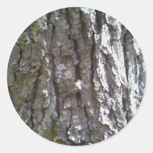 Pignut Hickory Tree Bark Ronde Sticker (Voorkant)