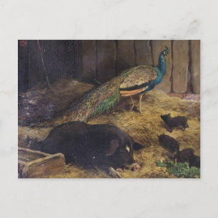 Pigs and Peacock van Charles Burton Barber in 1878 Briefkaart