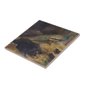 Pigs and Peacock van Charles Burton Barber in 1878 Tegeltje (Zijkant)