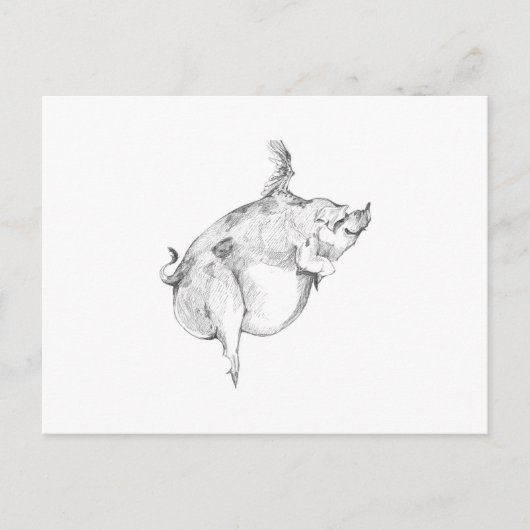 Pigs Can Fly Postcard Briefkaart (Voorkant)