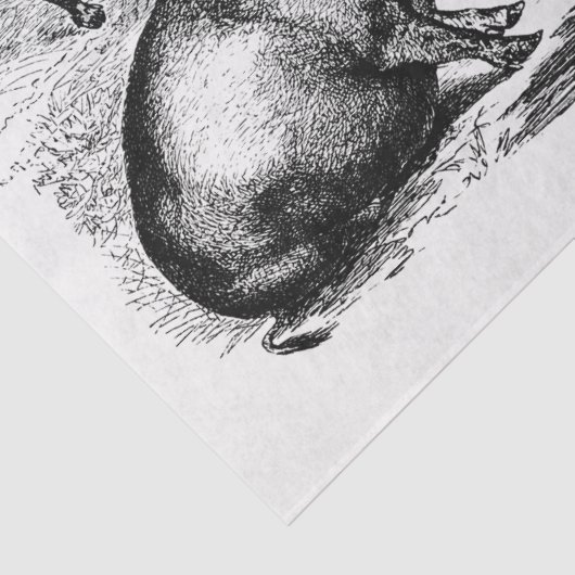 Pigs Ephemera Decoupage Boerderij Tissuepapier (Detail)