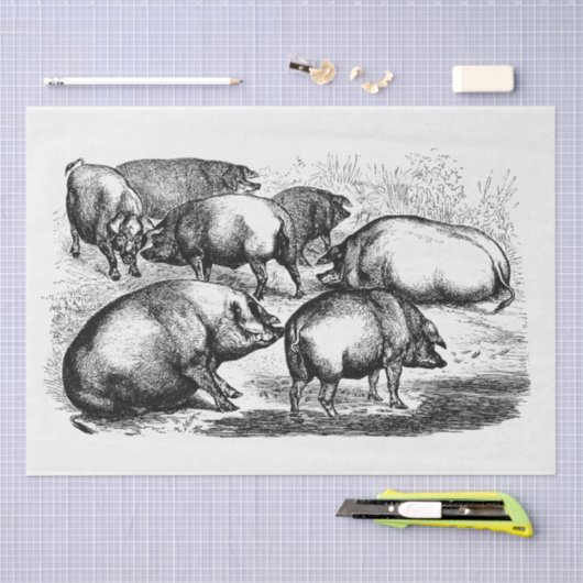 Pigs Ephemera Decoupage  Boerderij Tissuepapier (Craft)