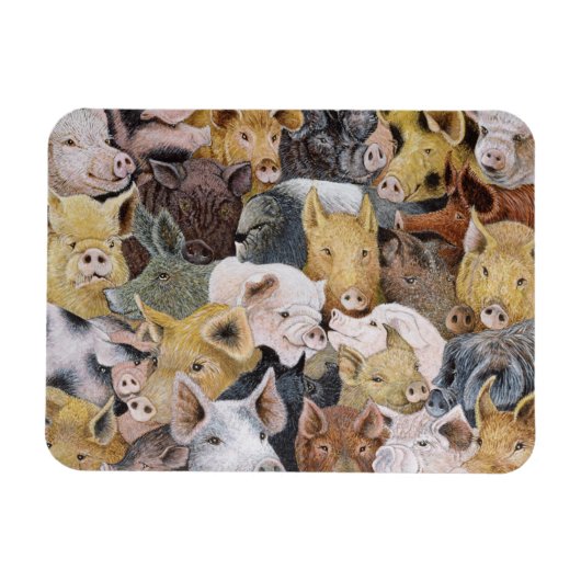 Pigs Galore Magneet (Horizontaal)
