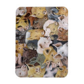 Pigs Galore Magneet (Verticaal)
