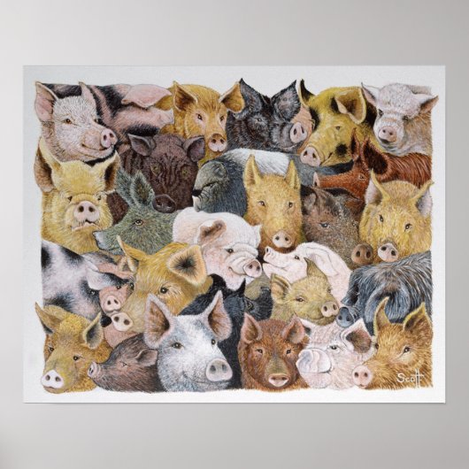 Pigs Galore Poster (Voorkant)