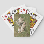 Pigs in Field Playing Cards Pokerkaarten (Achterkant)